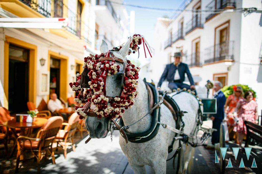 Balcon De Europa weddings in Nerja