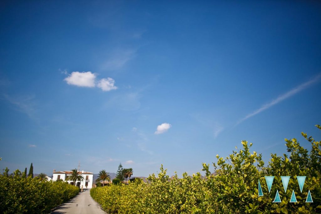 hacienda la esperanza wedding malaga spain 8